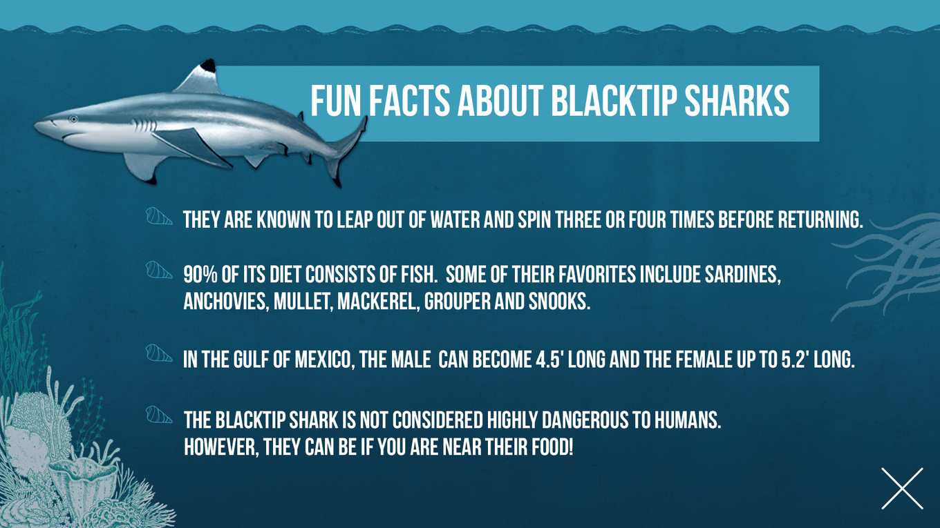 Fun Facts