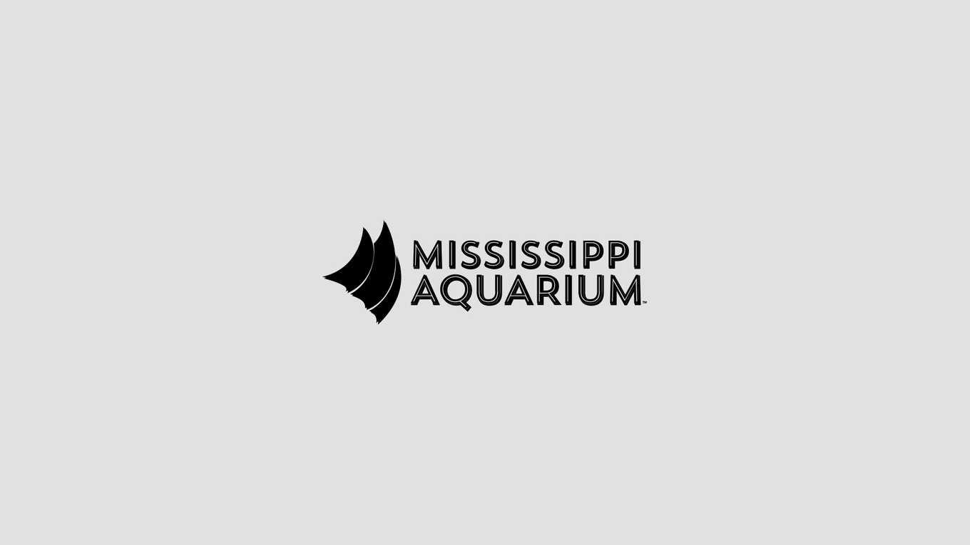 Mississippi Aquarium